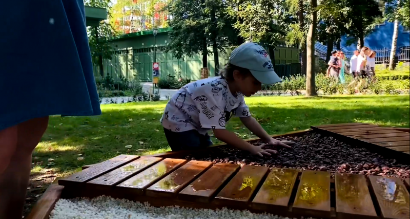 Тактильный сад для самых маленьких посетителей появился в парке “Швейцария”