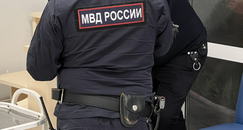 Мужчина из Богородска избил майора полиции из-за сигарет