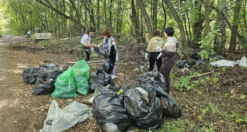 В лесу Кстовского района разобрали нелегальную свалку и вывезли отходы