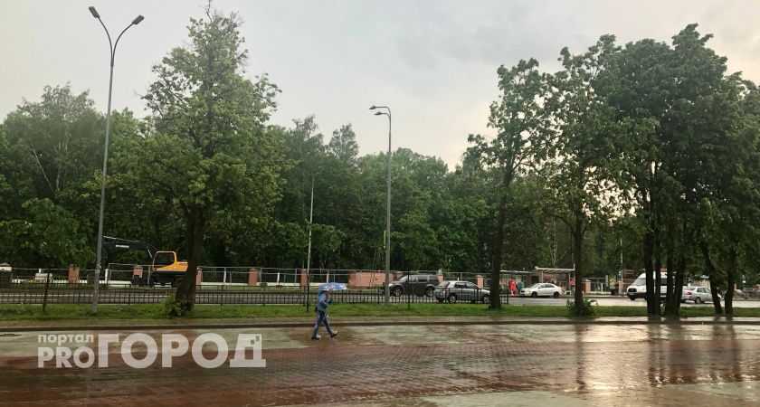 Тепло отступает: в Нижегородскую область возвращаются дожди