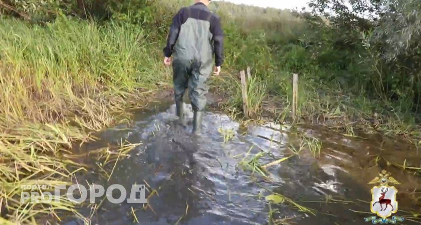 В Лысковском районе увязший в болоте подросток больше суток не шевелился, пока его не нашли