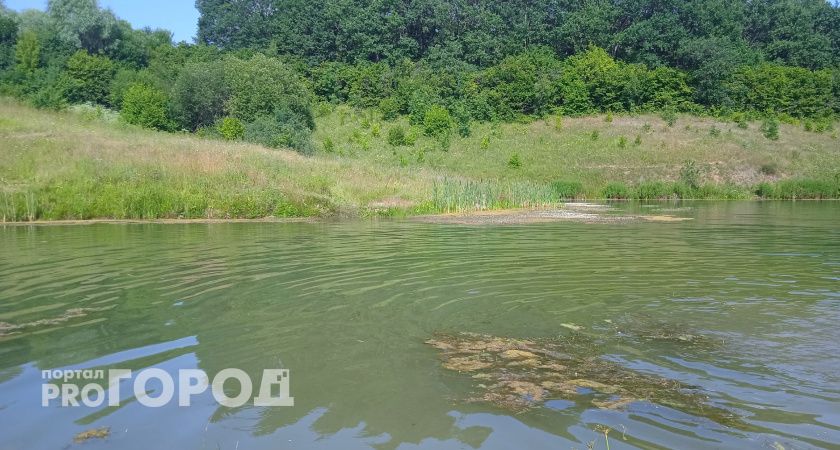 В Кулебаках из пруда достали тело пропавшего подростка