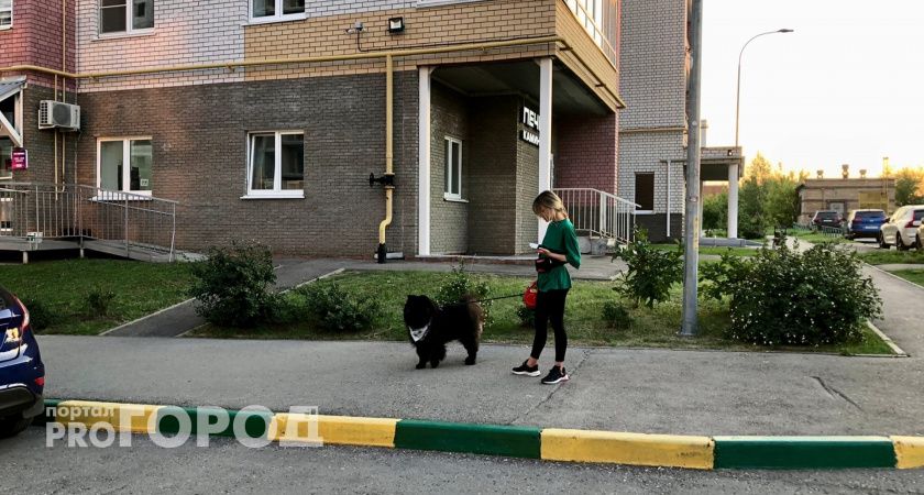 Стали известны новые условия для получения льготной ипотеки