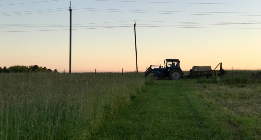 Побили рекорд: власти похвастались лучшим за 30 лет результатом нижегородских аграриев