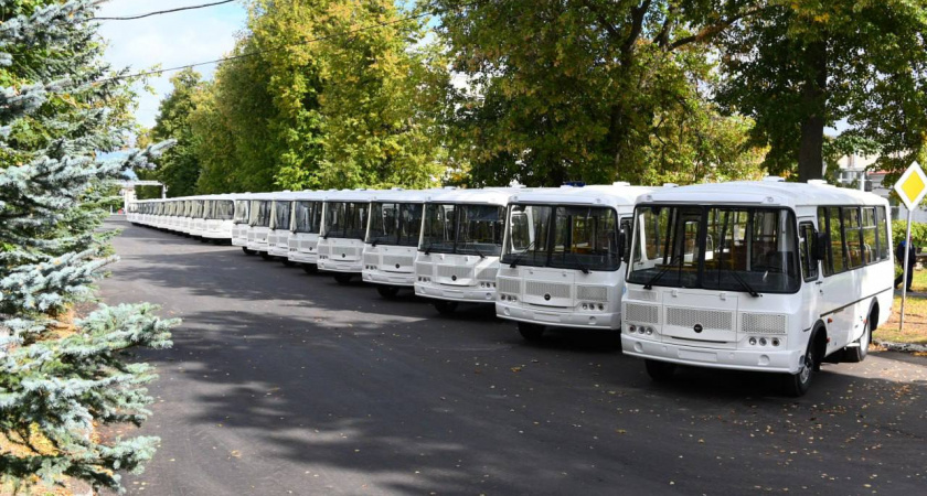 В трех районах Нижегородской области появятся новые автобусы