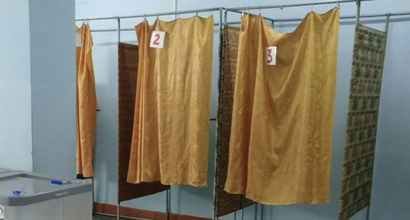 В Нижегородской области заставляли дистанционно голосовать на выборах