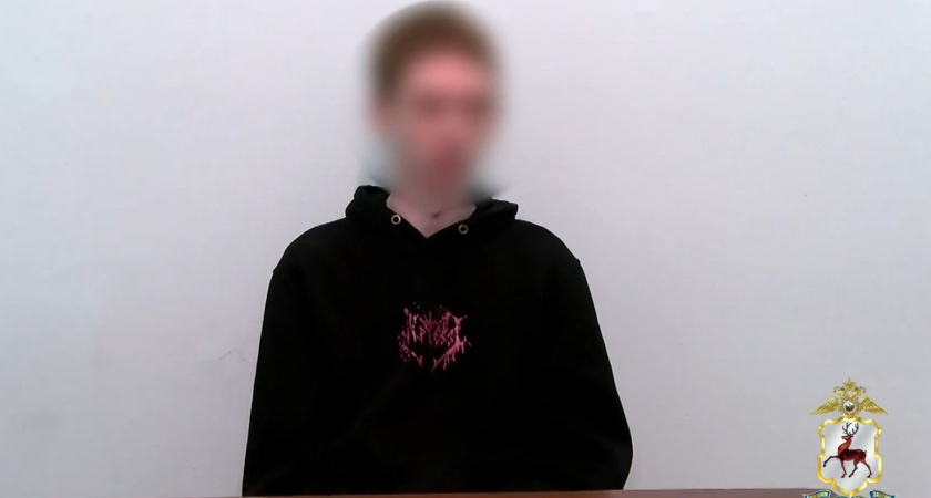 Саровский студент нашел преступную работу и ограбил девочку-подростка