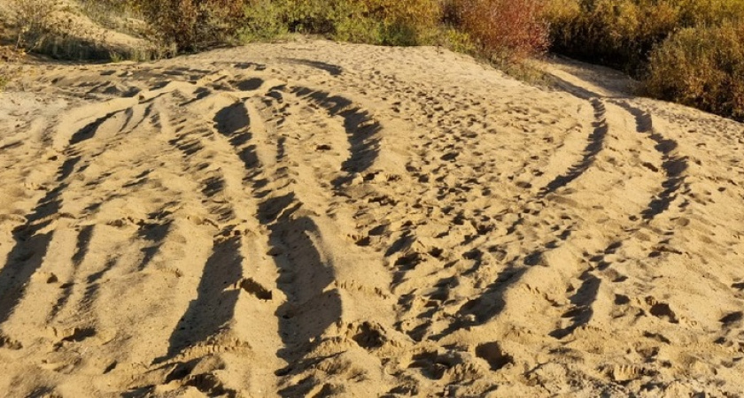 Бизнесмен судится с правительством Нижегородской области из-за песчаного карьера