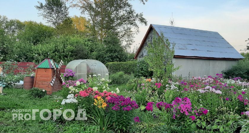 24-летний нижегородец лазил по чужим дачам и воровал вещи