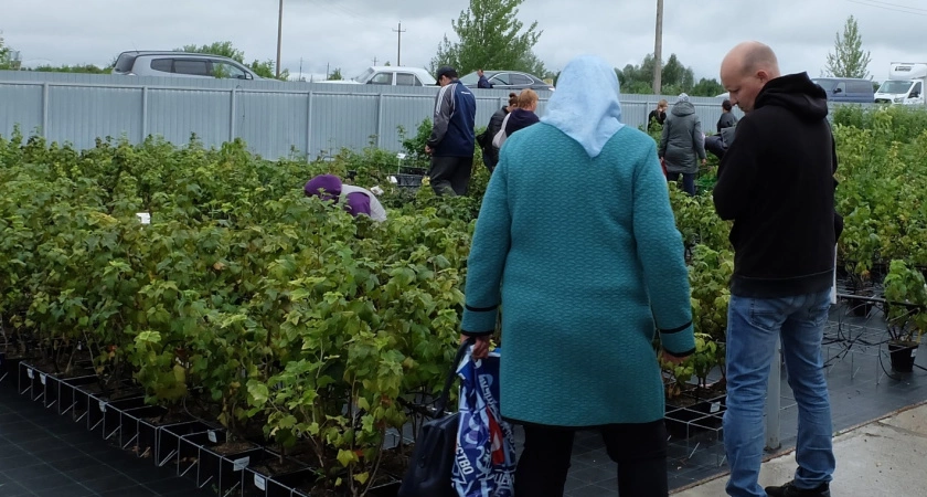 Фото к статье: Пенсионеры не могут сдержать слез радости: всем выдадут 13-ю пенсию