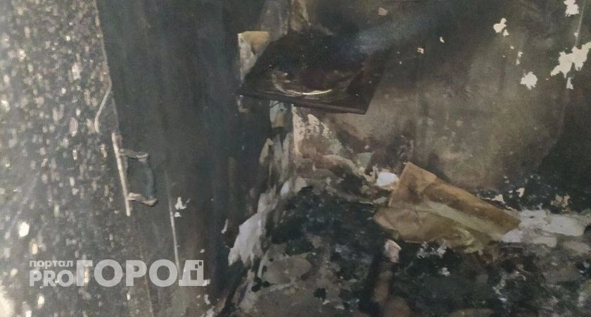 Фото к статье: На месте пожара в Сосновском районе нашли труп