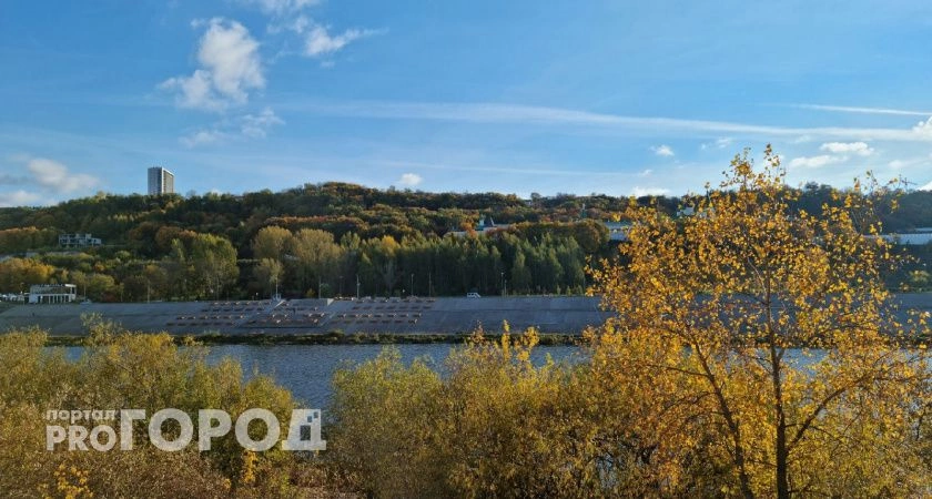 Фото к статье: Нижегородские лодочники пожаловались Бастрыкину, что с них трясут деньги за жилье