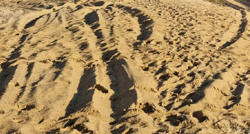 Обвиняемые в краже 448 тысяч тонн песка в Нижнем Новгороде хотят обжаловать продление ареста