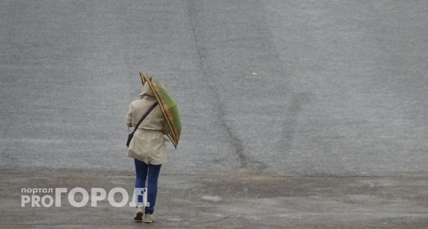 Карбыш в нижегородской области фото