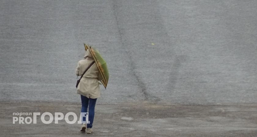 Фото к статье: Порывистый ветер и дождь в лицо: в Нижегородской области под конец недели испортится погода