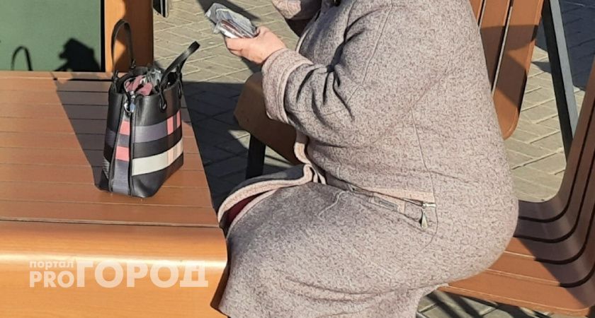 Пенсионерка из Автозаводского района лишилась 400 тысяч, ожидая бесплатных продуктов