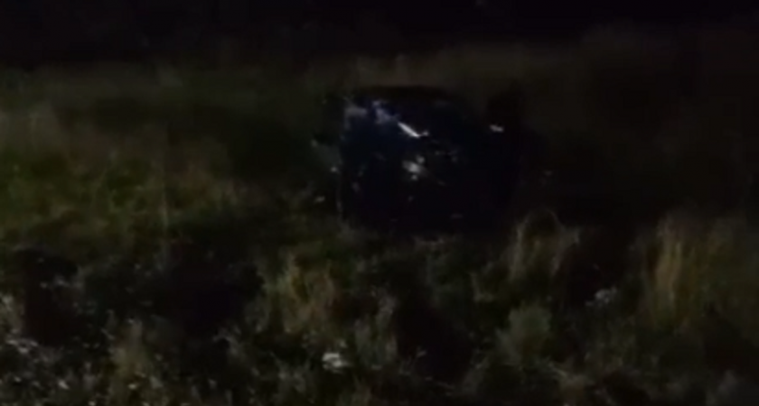 Водитель иномарки уснул за рулем и врезался в столб в Кстовском районе: пострадало четыре человека 