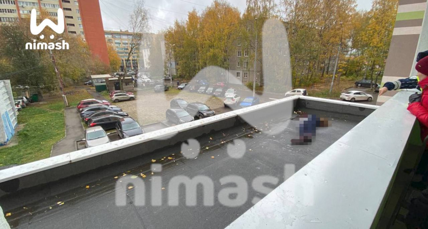 Девочка выпала из окна тринадцатого этажа в Нижнем Новгороде 