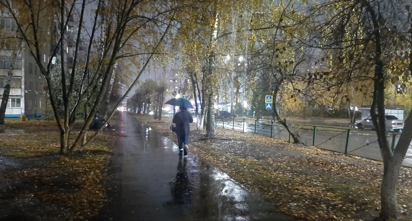 Фото к статье: Нижегородка взяла в кредит почти 4 миллиона и отправила в неизвестность