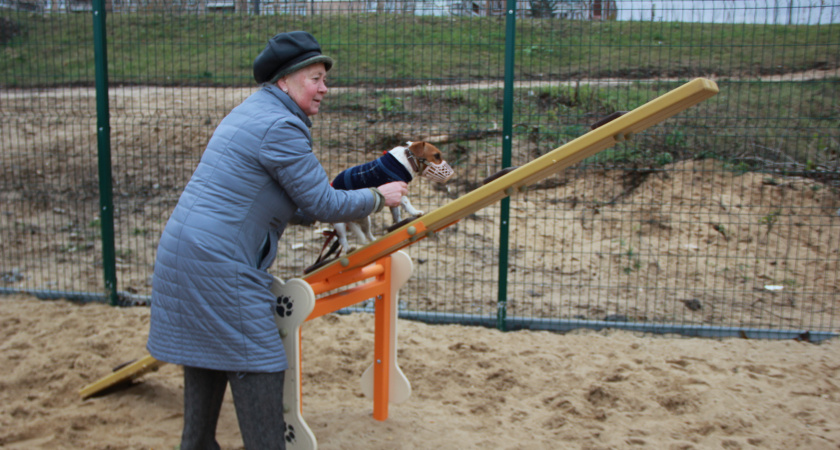 Площадки для выгула собак, детские качели и лавочки появились на Волжской набережной