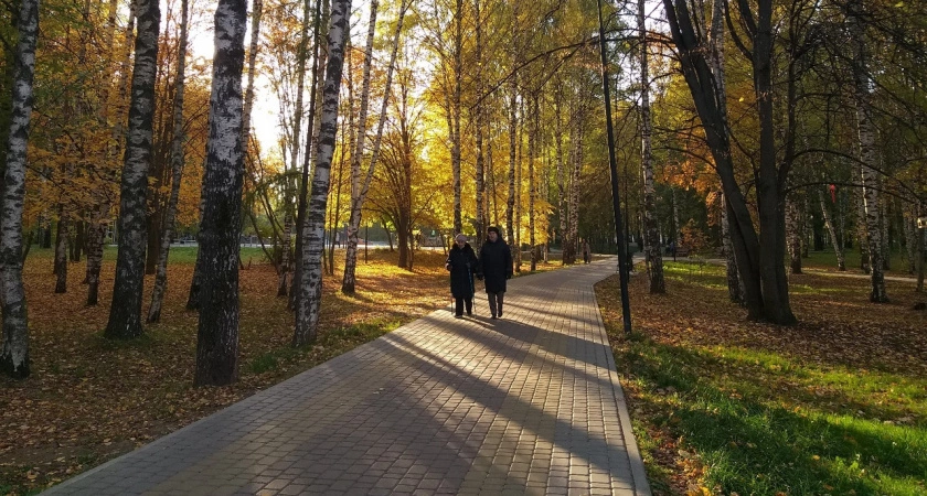 Фото к статье: Нижегородским пенсионерам наденут браслеты с кнопкой вызова помощи