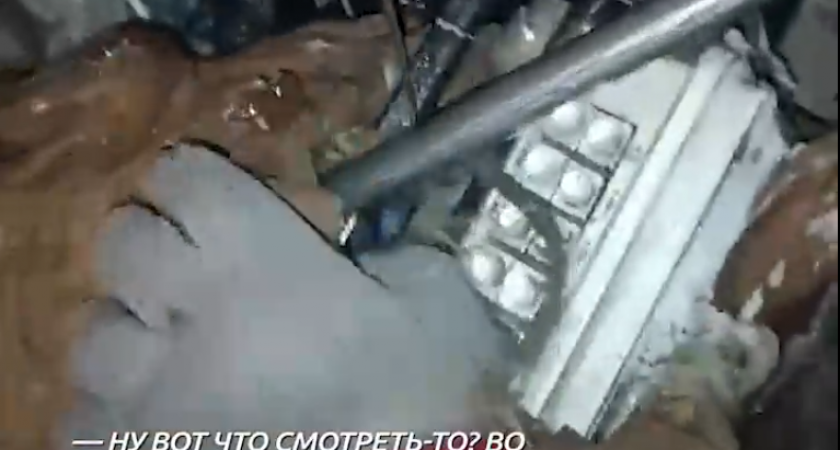 Серию краж из деревенских домиков случайно раскрыли егеря в Нижегородской области