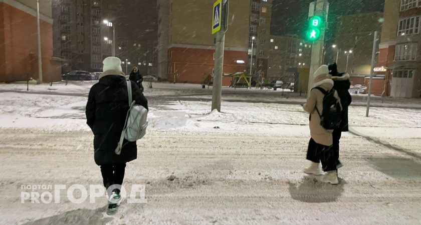 Нижегородка погналась за легкими деньгами в надежде разбогатеть: потеряла три миллиона