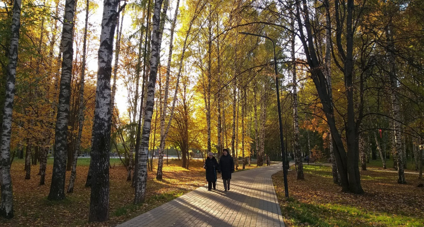 Всего на один день погода даст нижегородцам отдохнуть от дождя и холода