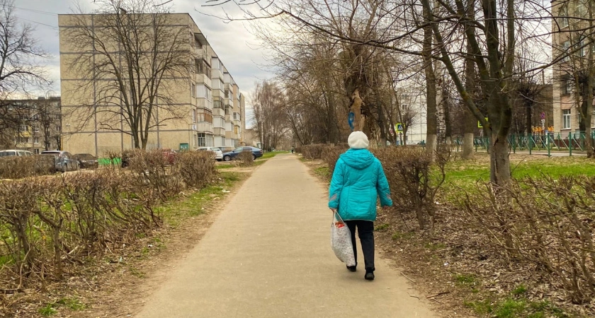 Фото к статье: Больше 145 тысяч потеряла пенсионерка из Нижнего Новгорода при покупке в интернет-магазине