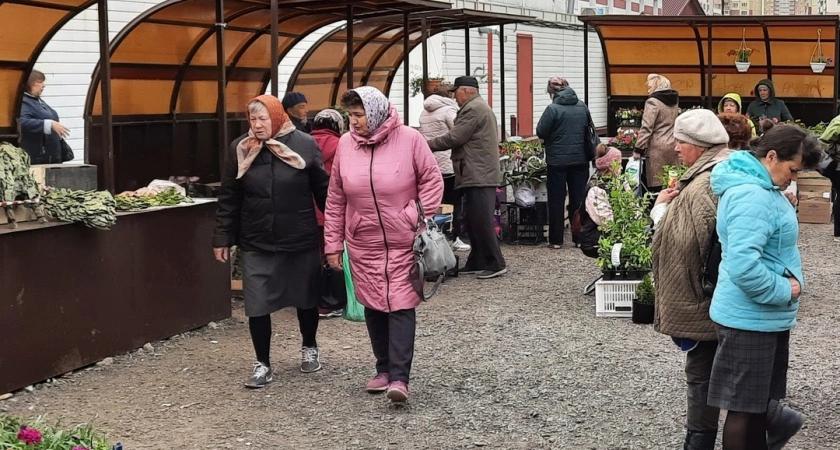 Фото к статье: Принято окончательное решение по выплате 13-й пенсии всем россиянам 