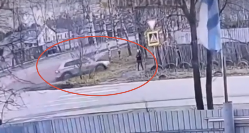 Нижегородка с собачкой чудом спаслась от аварии в Дзержинске