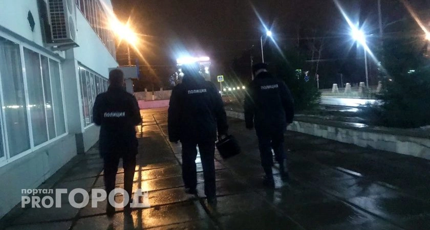 Фото к статье: В Заволжье во время ремонта обокрали парк
