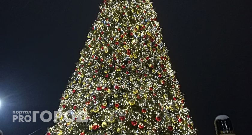 Шалабаев рассказал, когда в центре Нижнего Новгорода установят новогоднюю елку