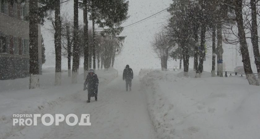 Фото к статье: Погодные сюрпризы пустятся в круговорот: регионы ждут аномальные холода, метели и теплые дожди
