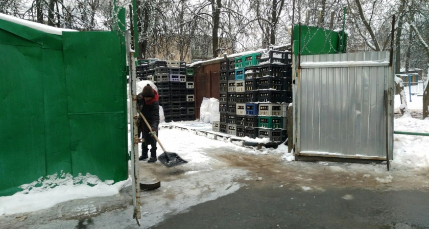 Фото к статье: В Нижнем Новгороде будут перерабатывать по 15 тонн стекла в час: открылась линия по переработке