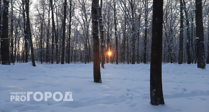 Какая погода ждет нижегородцев в первый день зимы