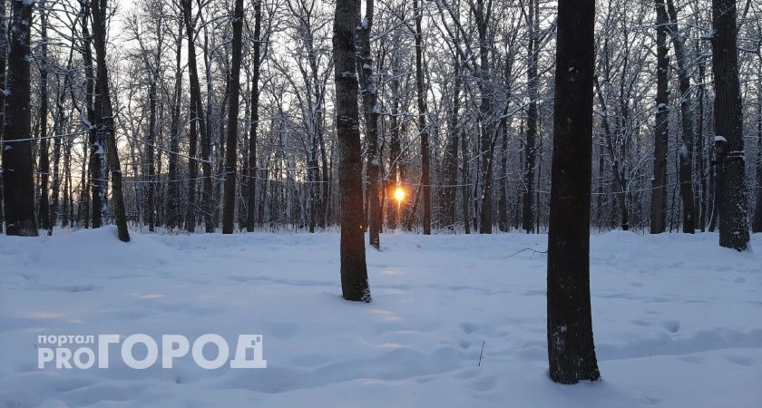 Фото к статье: Какая погода ждет нижегородцев в первый день зимы