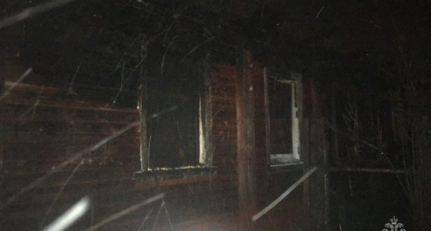 Фото к статье: Один человек погиб в ночном пожаре в Балахнинском районе