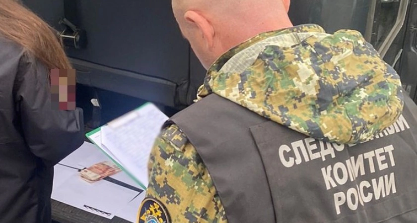 Фото к статье: Бывший лесник осужден за взятку в Нижегородской области