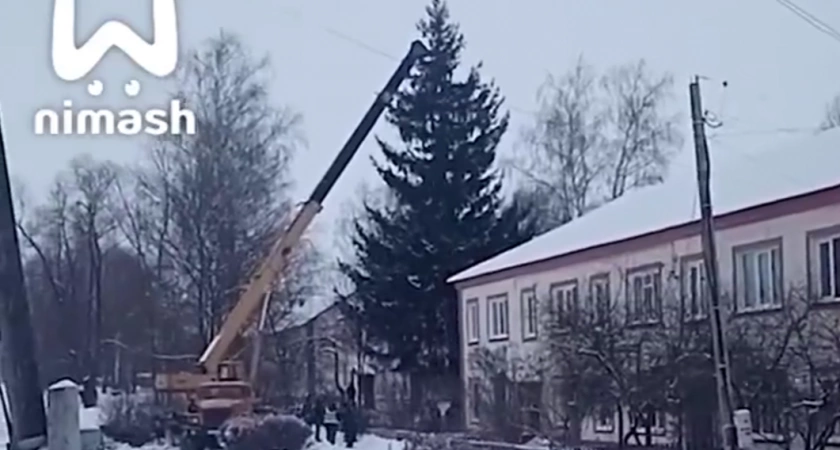 Фото к статье: "Понаехали вчера, целый эскадрон": у пенсионерки из Ардатова забрали ель и поставили ее на площади