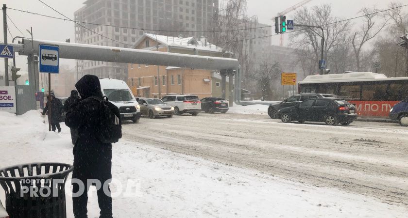 Ветер с юга принесет в Нижегородскую область зимний микс: дождь, снег и гололед