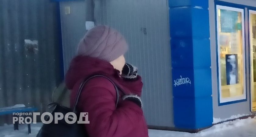 Кстовская полиция разыскивает курьера, который забрал у пенсионерки 80 тысяч рублей