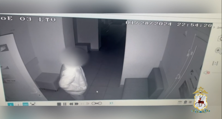 Нижегородские полицейские нашли вора, который вынес системный блок из больницы