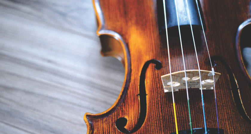 Продажа скрипки принесла жительнице Дзержинска потери