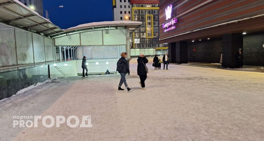 Погода на 23 февраля в Нижегородской области: легкие морозы и снегопады