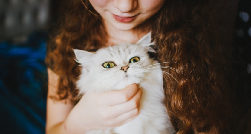 Вы удивитесь такому объяснению: вот почему кошки безотказно реагируют на кис-кис. Тайна раскрыта