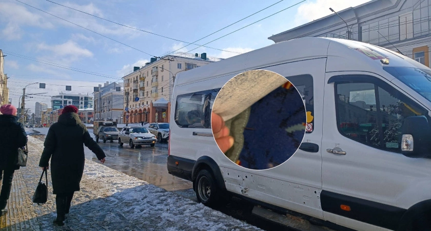 Фото к статье: Могильные иголки появились в городских автобусах: в чем ее опасность
