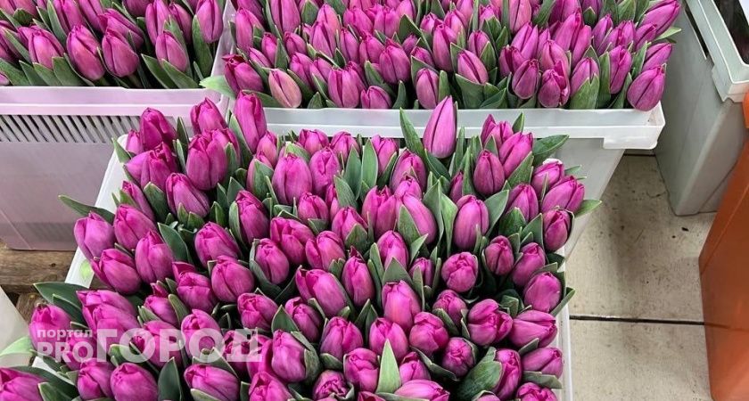 В Госдуме предлагают борьбу с "алчными" продавцами цветов