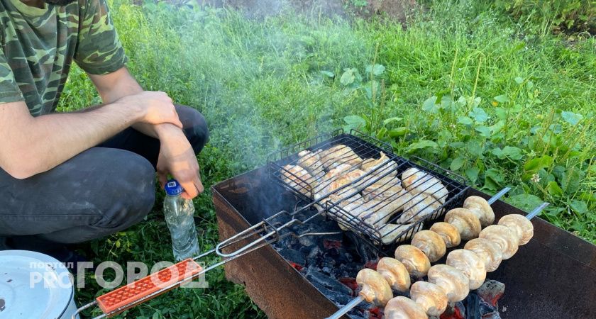 Можно ли жарить шашлыки во дворах домов