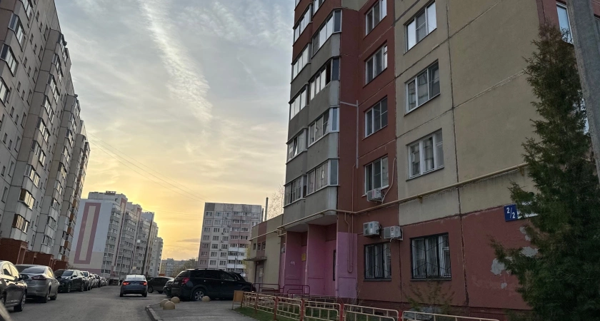 Фото к статье: Эксперт честно сказал, когда россиянам нужно покупать квартиру в 2024 году
